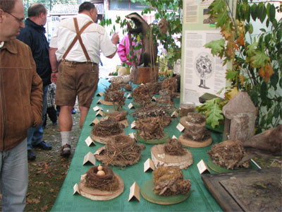 Vogelparkfest 2008